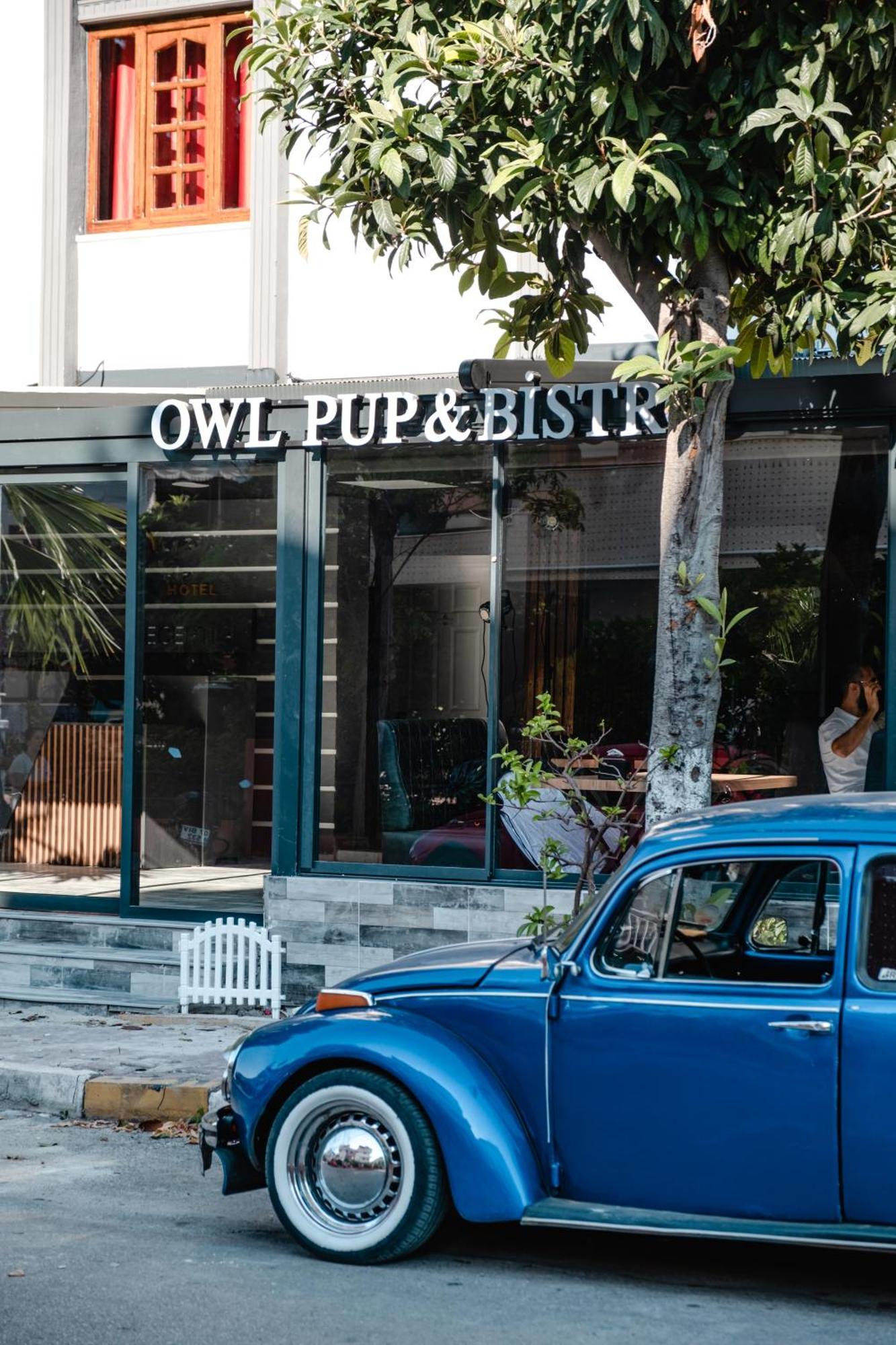 Hotel Orange Owl *
