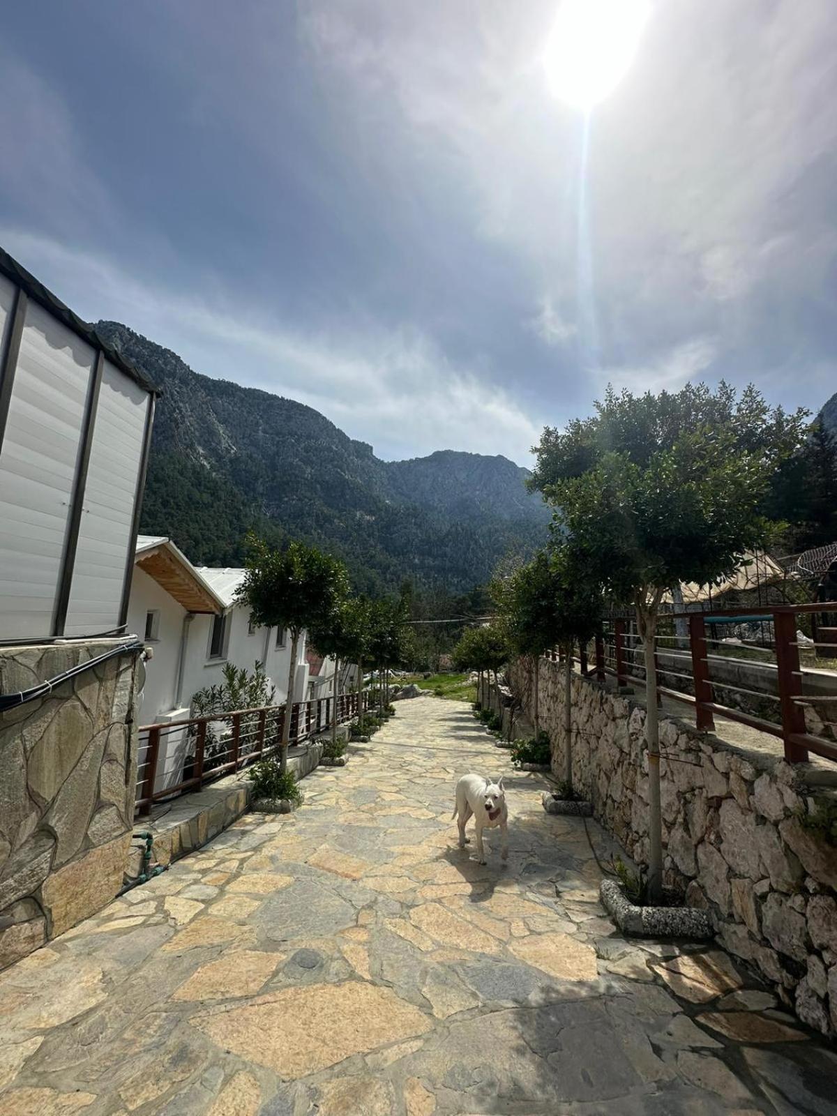 Gokdere Evleri Holiday home *