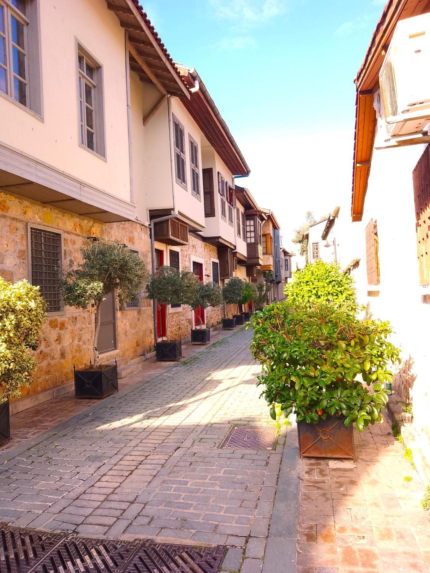 Hotel Alp Pasa Fiore Garden - Special Class