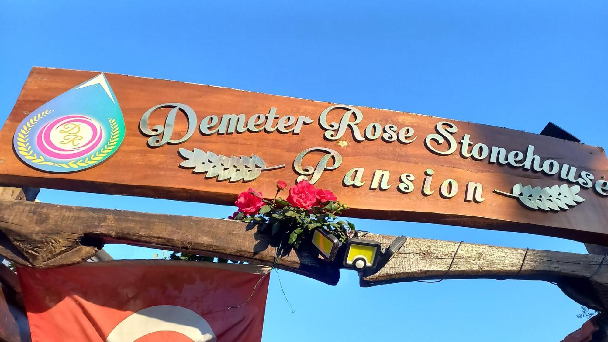 Demeter Rose Stonehouse Pansion *