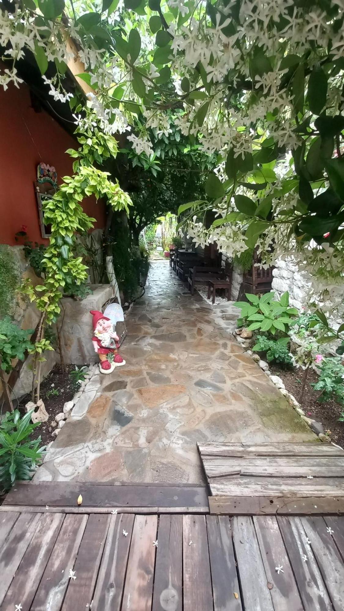 Demeter Rose Stonehouse Pansion Antalya