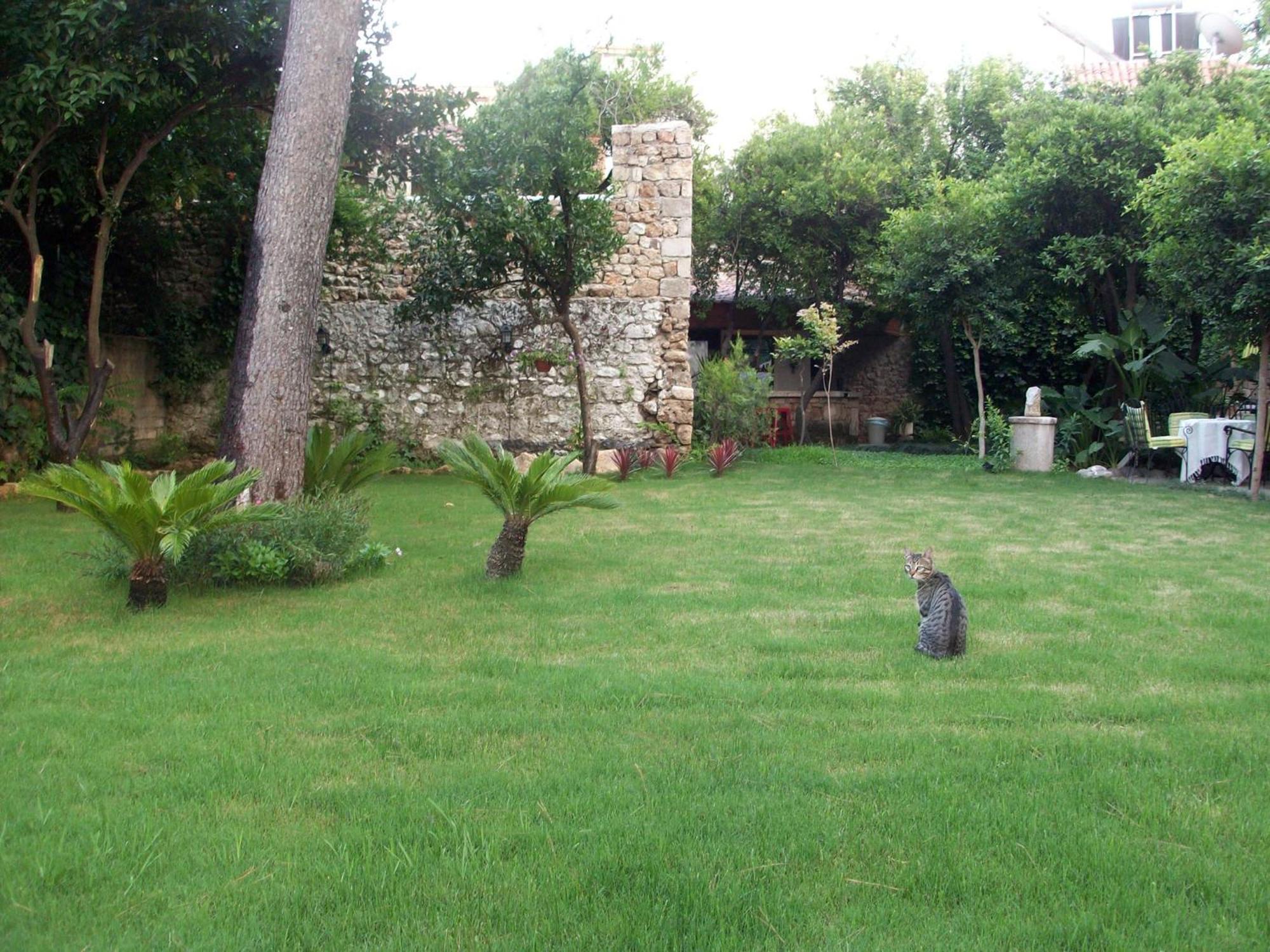 The Ninova Antalya
