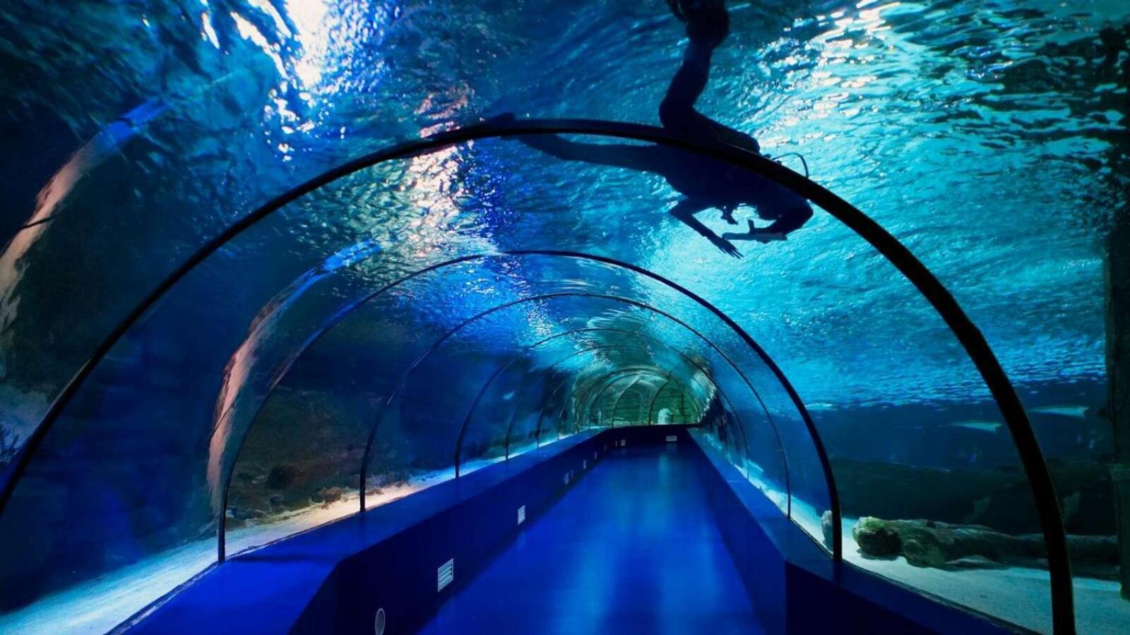 Far Life Antalya