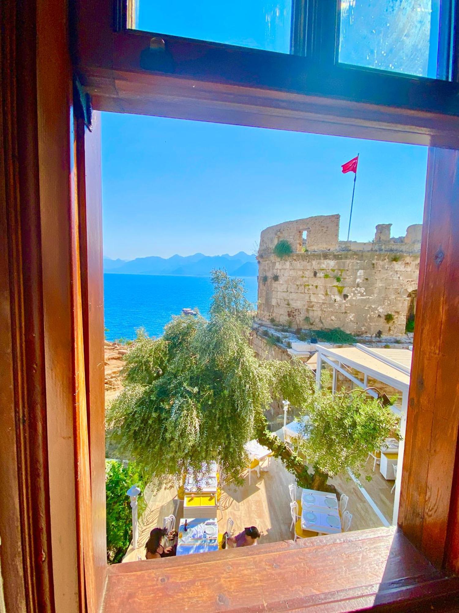 Ulivo * Antalya
