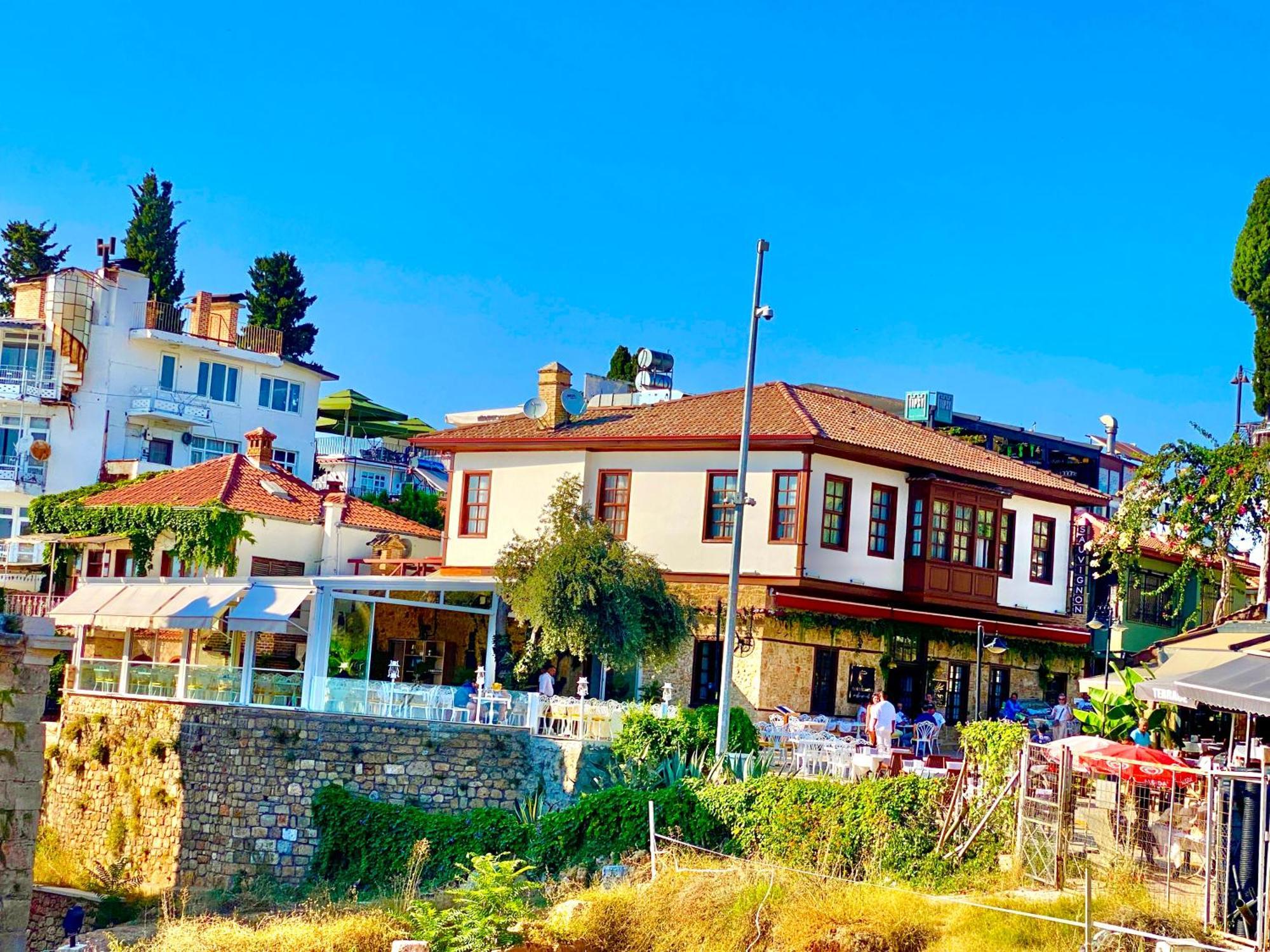 Ulivo * Antalya