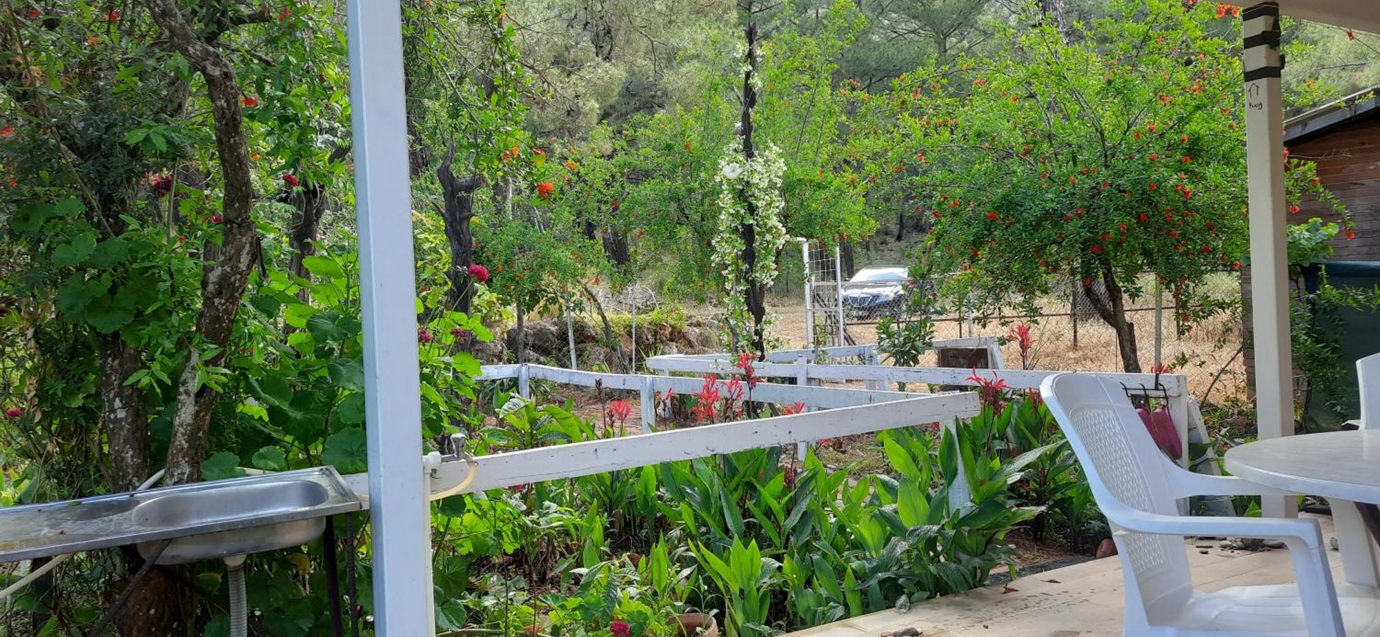 Ferienhaus Gelidonia Fenerium Antalya