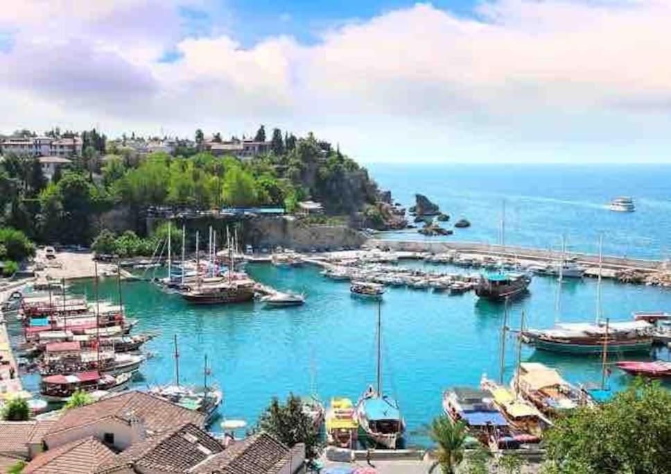 Ece Antalya