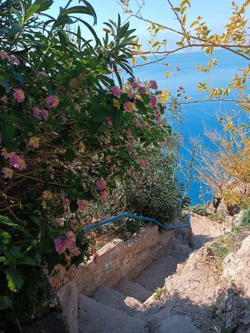 Antalya'nin Kalbindeki Huzur *
