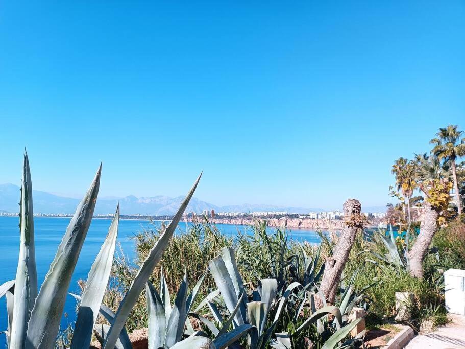 Antalya'nin Kalbindeki Huzur *