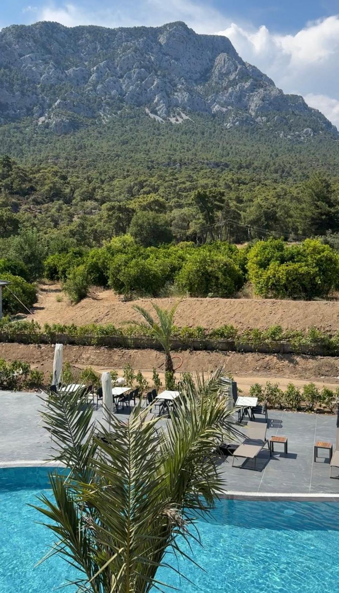Minta Hills Kemer *