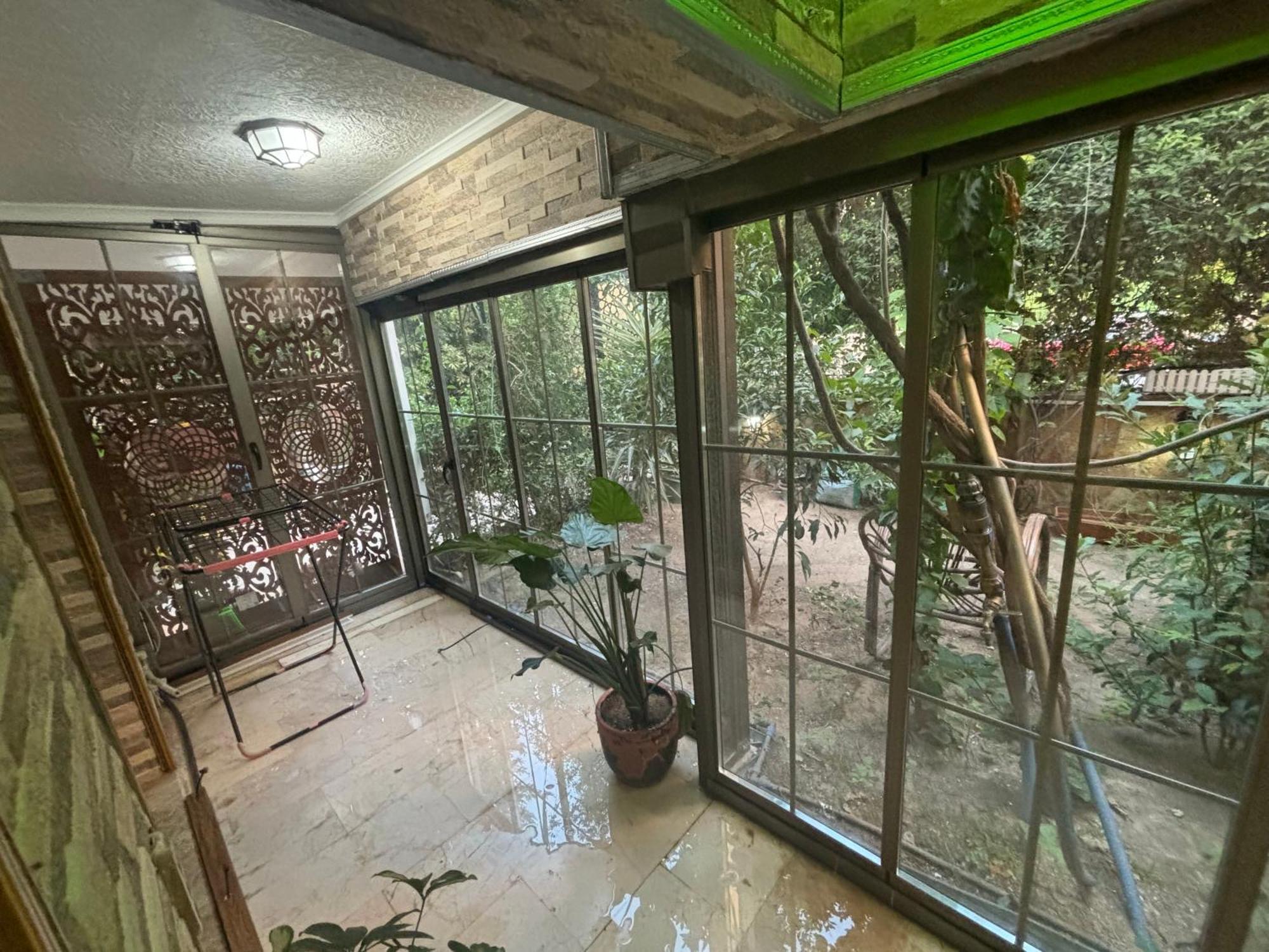 Orange Garden