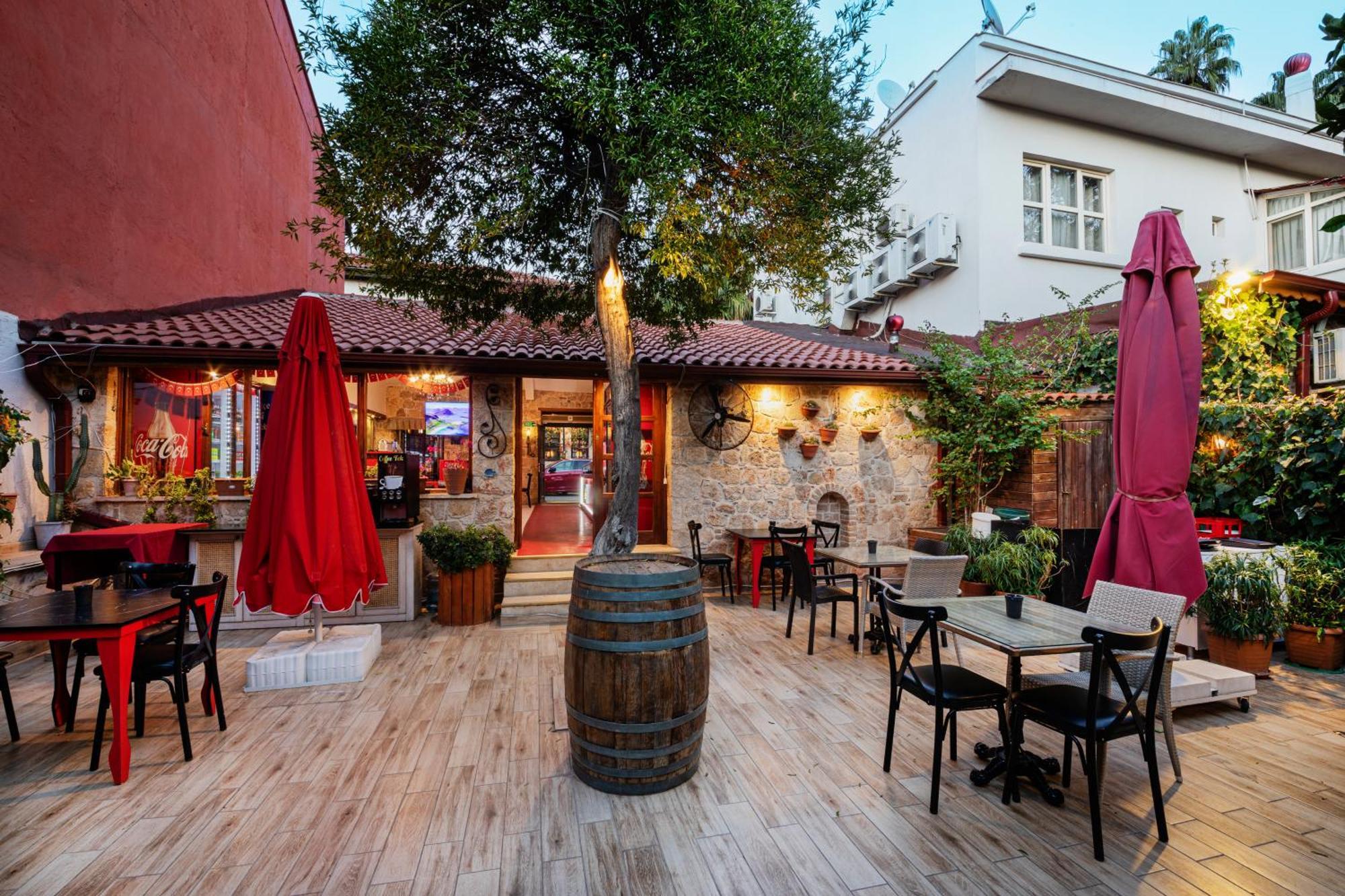 Zemira Garden 5*