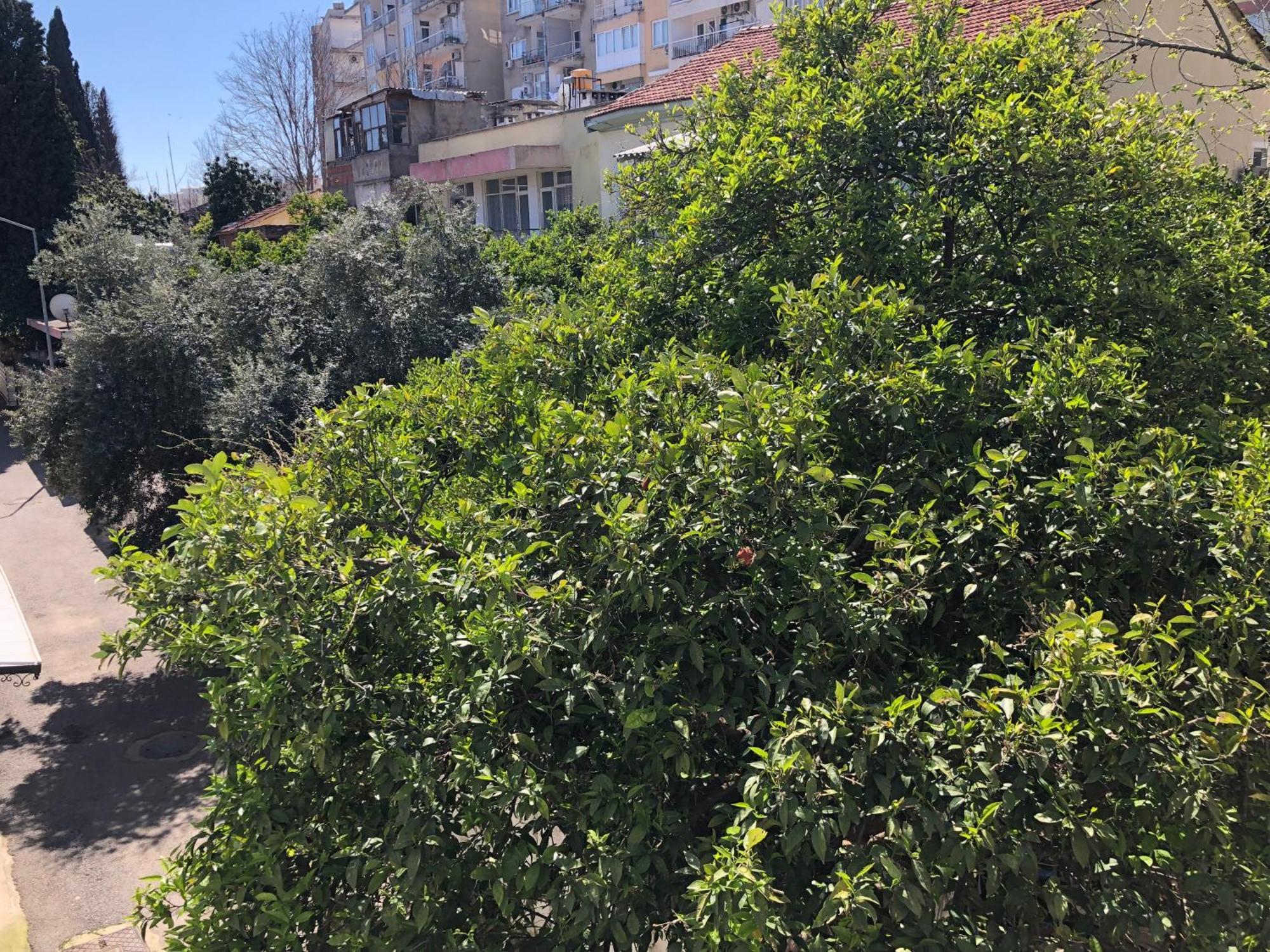 Kaleici Muhtesem Konum Uygun Fiyat Ev Apartment Antalya