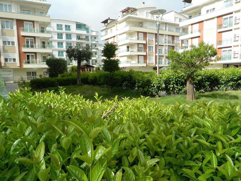 Kinaci Antalya