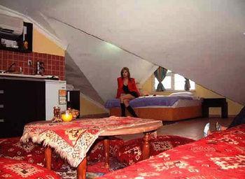 Sinemis 3*