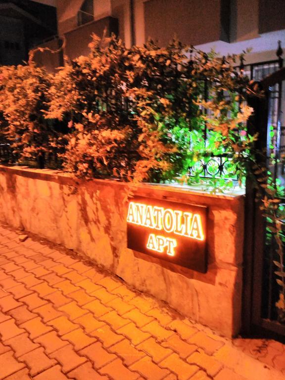 Anatolia Daire