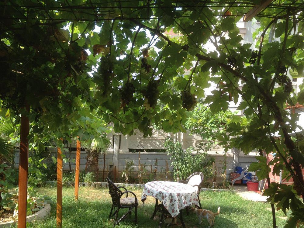 Bayındır Palme 2*