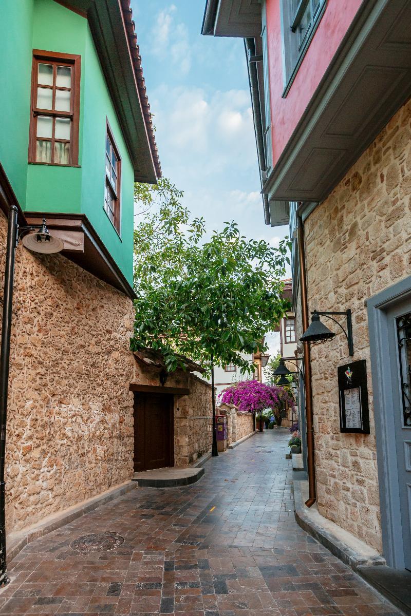 Hotel Delight Deluxe Kaucuk (adults Only) 3*