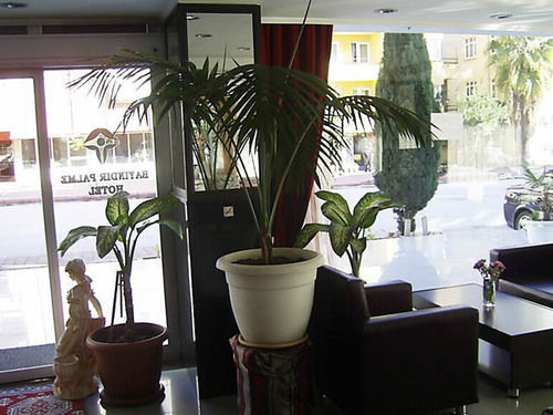 Bayındır Palme 2* Antalya