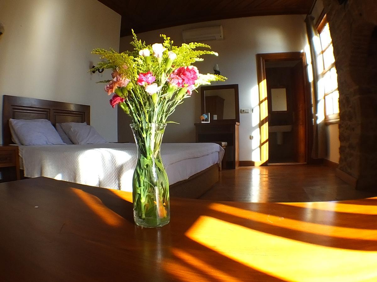 Hostel Odile Konak *