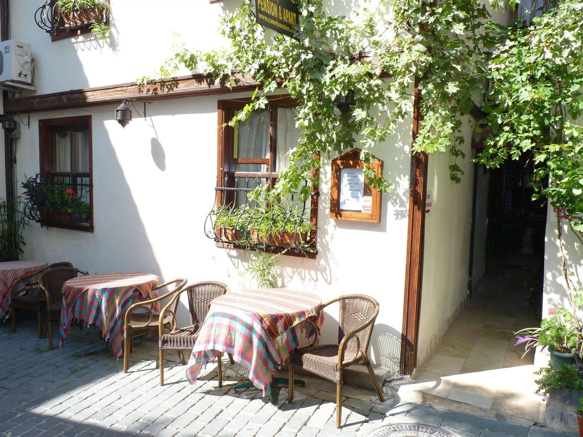 Hotel Camel & 3*