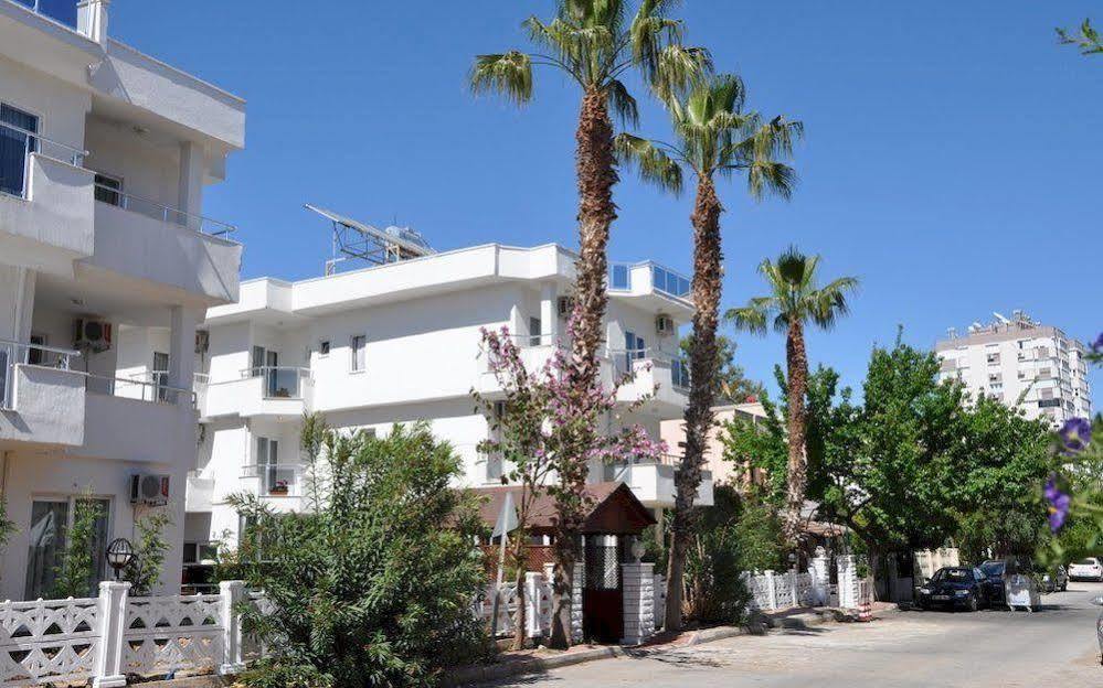 Otel Movie Life Roe 3*