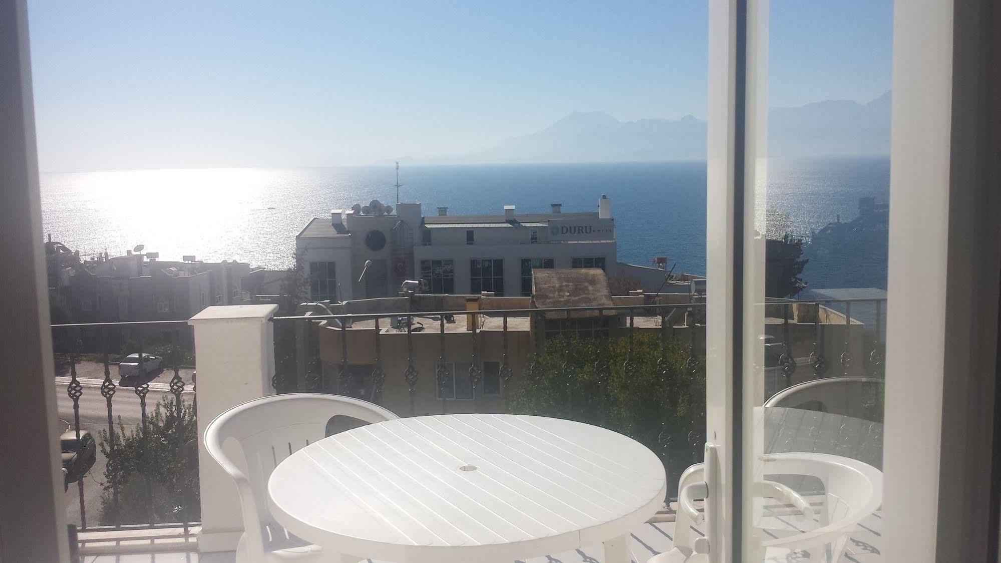 Pinus Antalya