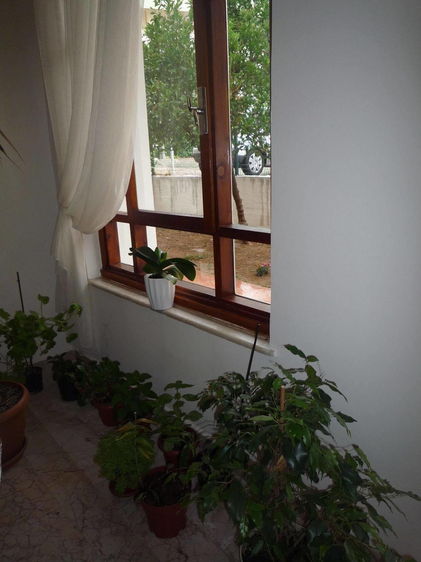 Hotel Pinus Antalya