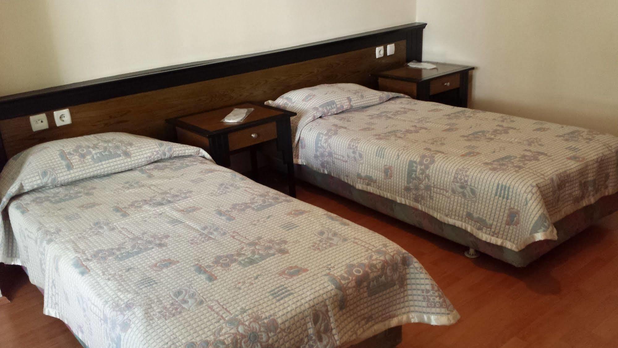 Pinus 3*