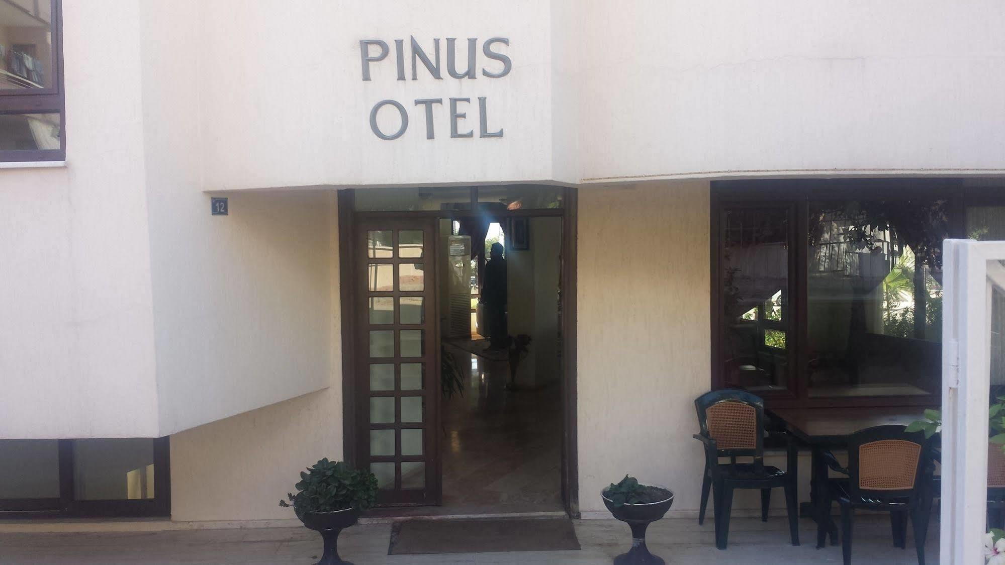 Otel Pinus 3*