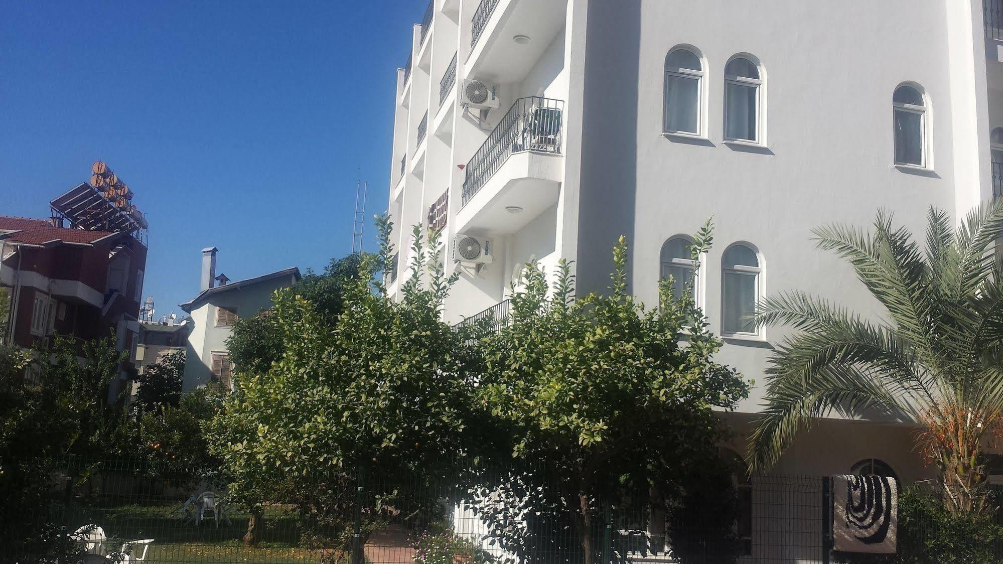 Otel Pinus