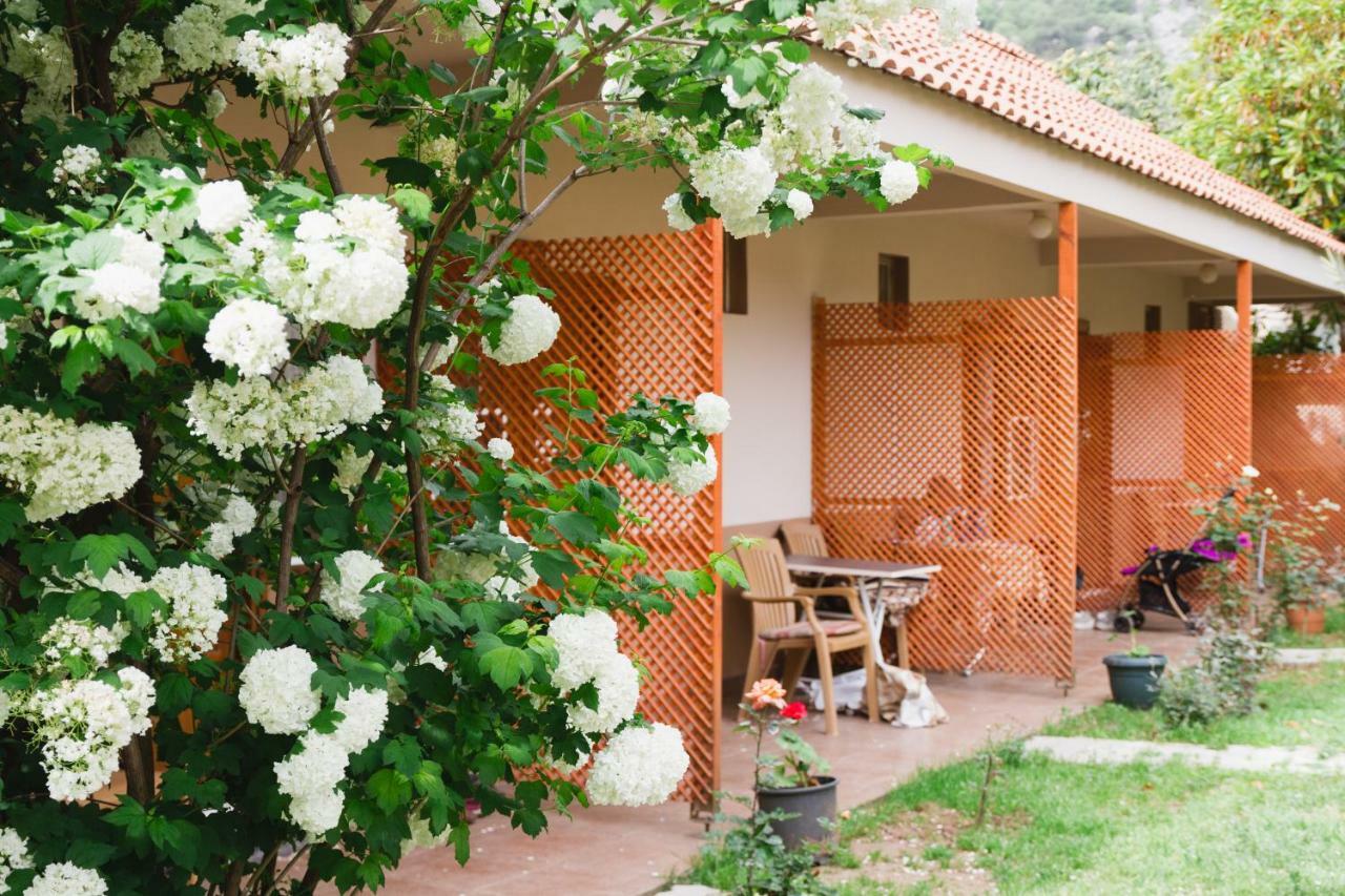 Village Garden * Antalya