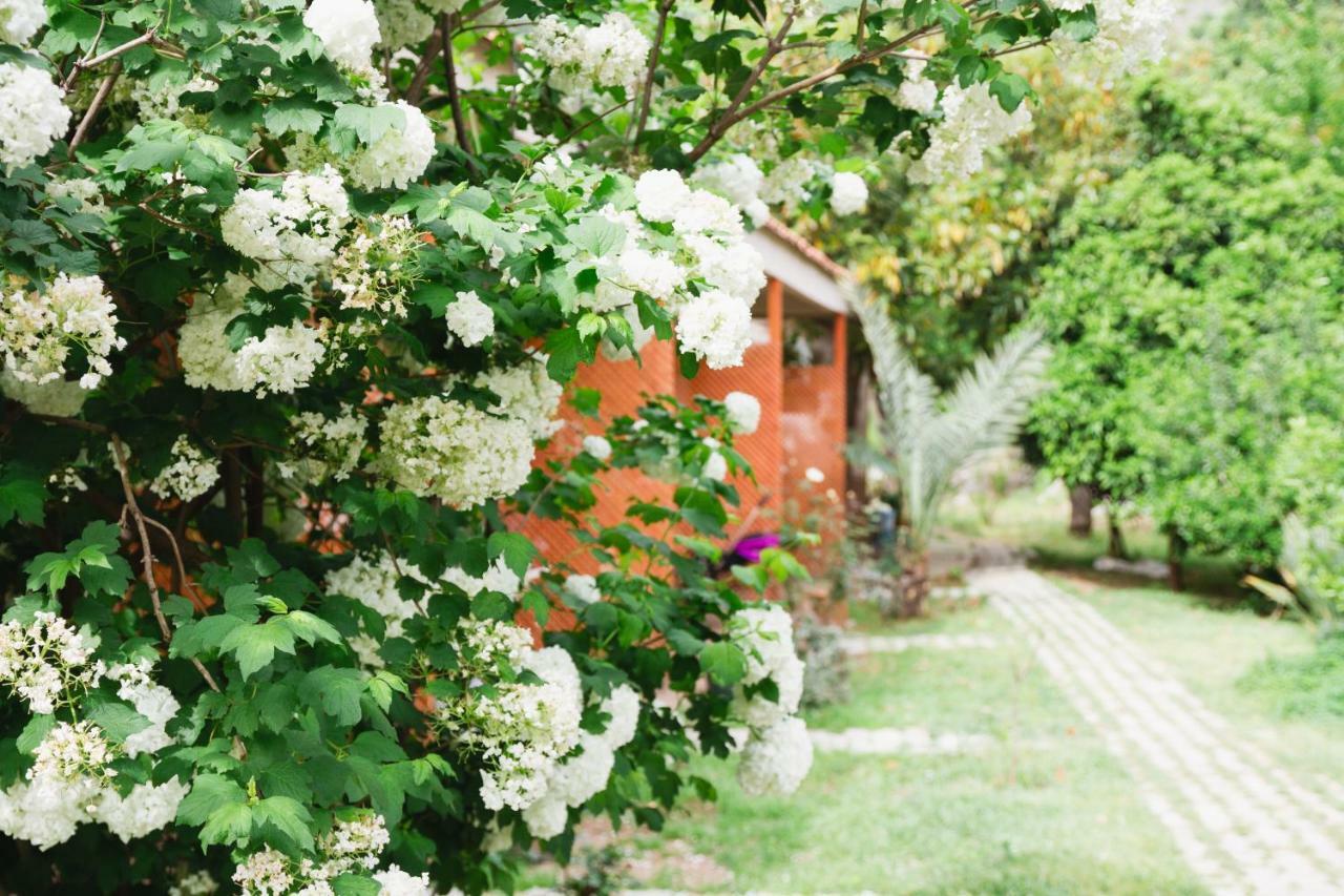 Village Garden *