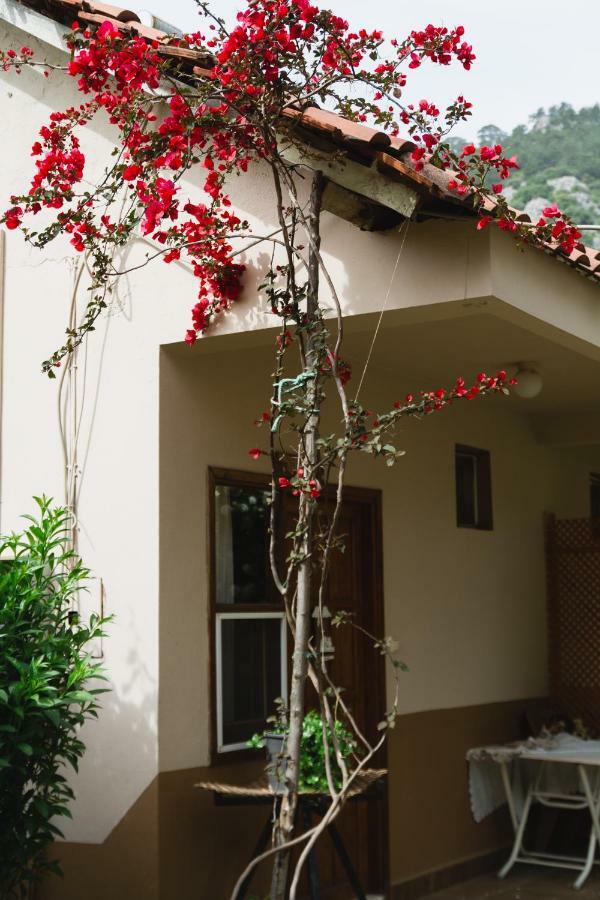 Village Garden Privatunterkunft