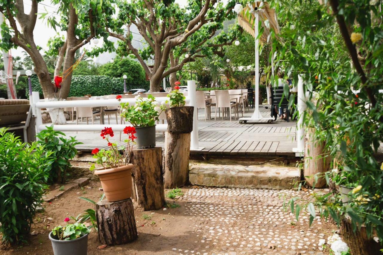 Village Garden *