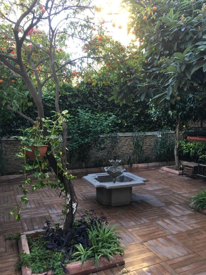 Privatunterkunft Orange Garden *