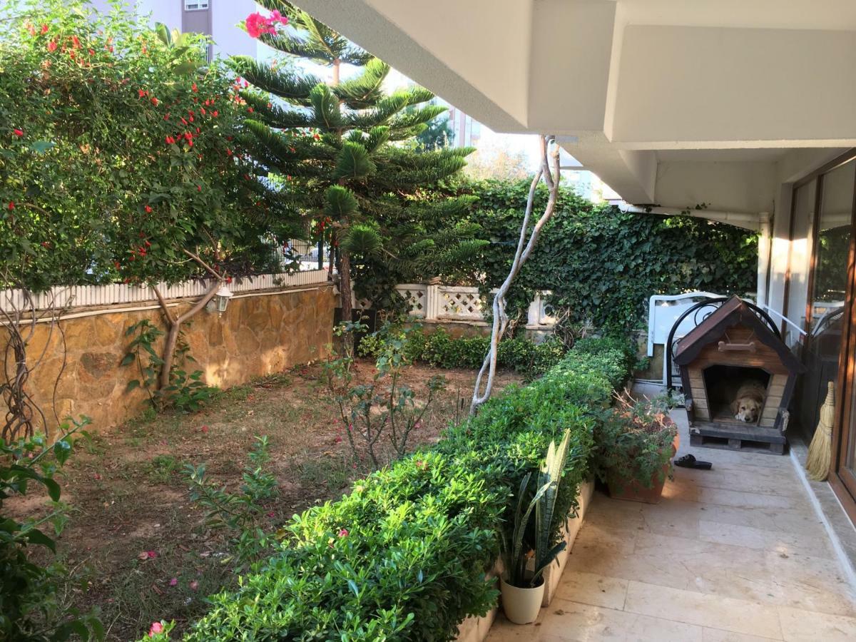 Orange Garden Privatunterkunft *
