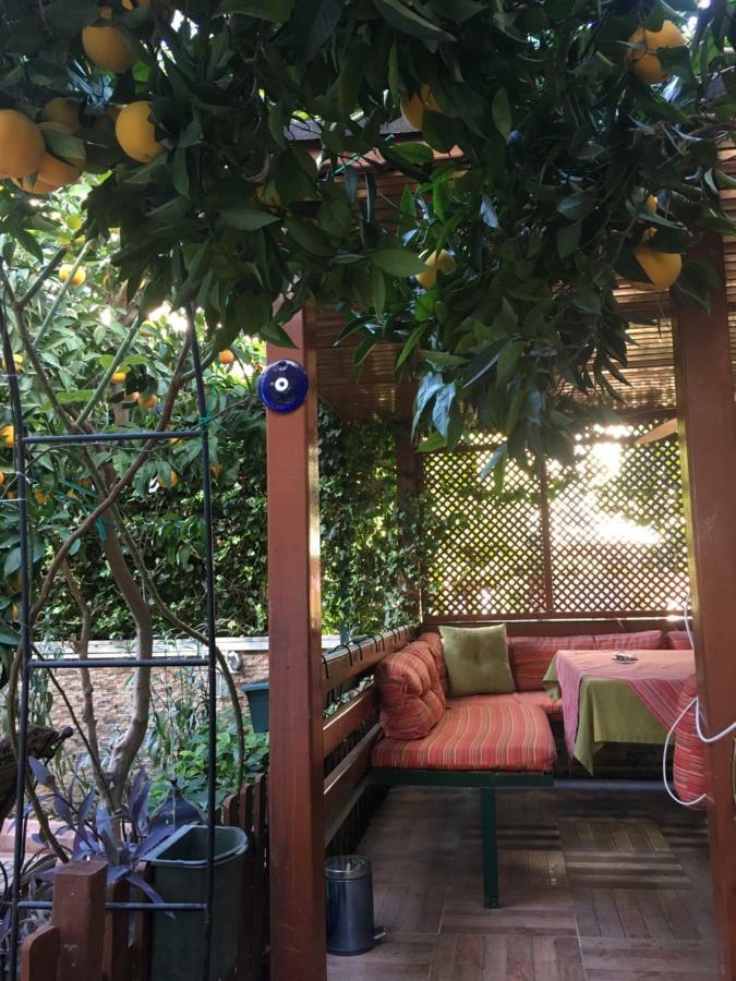Orange Garden Privatunterkunft *