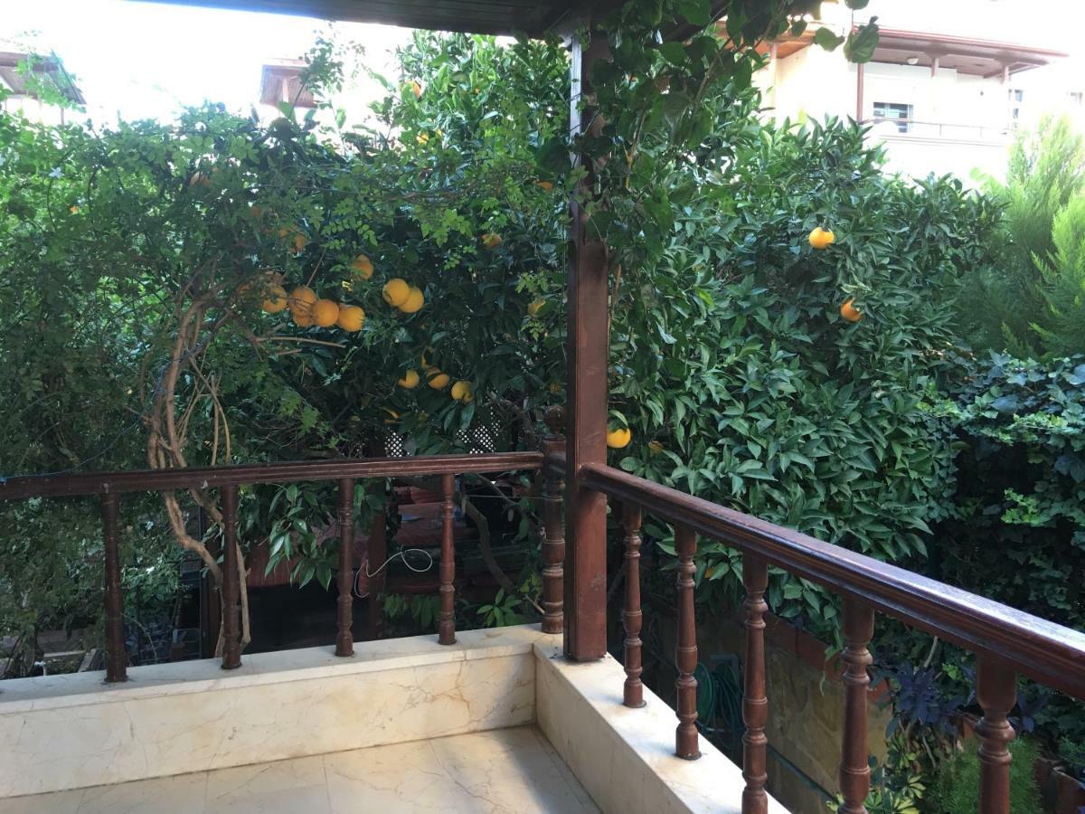 Orange Garden Privatunterkunft