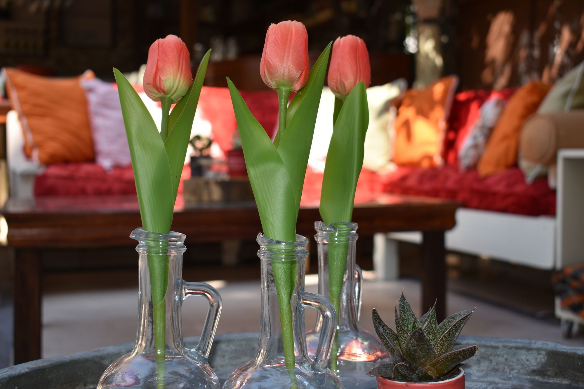 Hotel Nensie's Boutique Antalya
