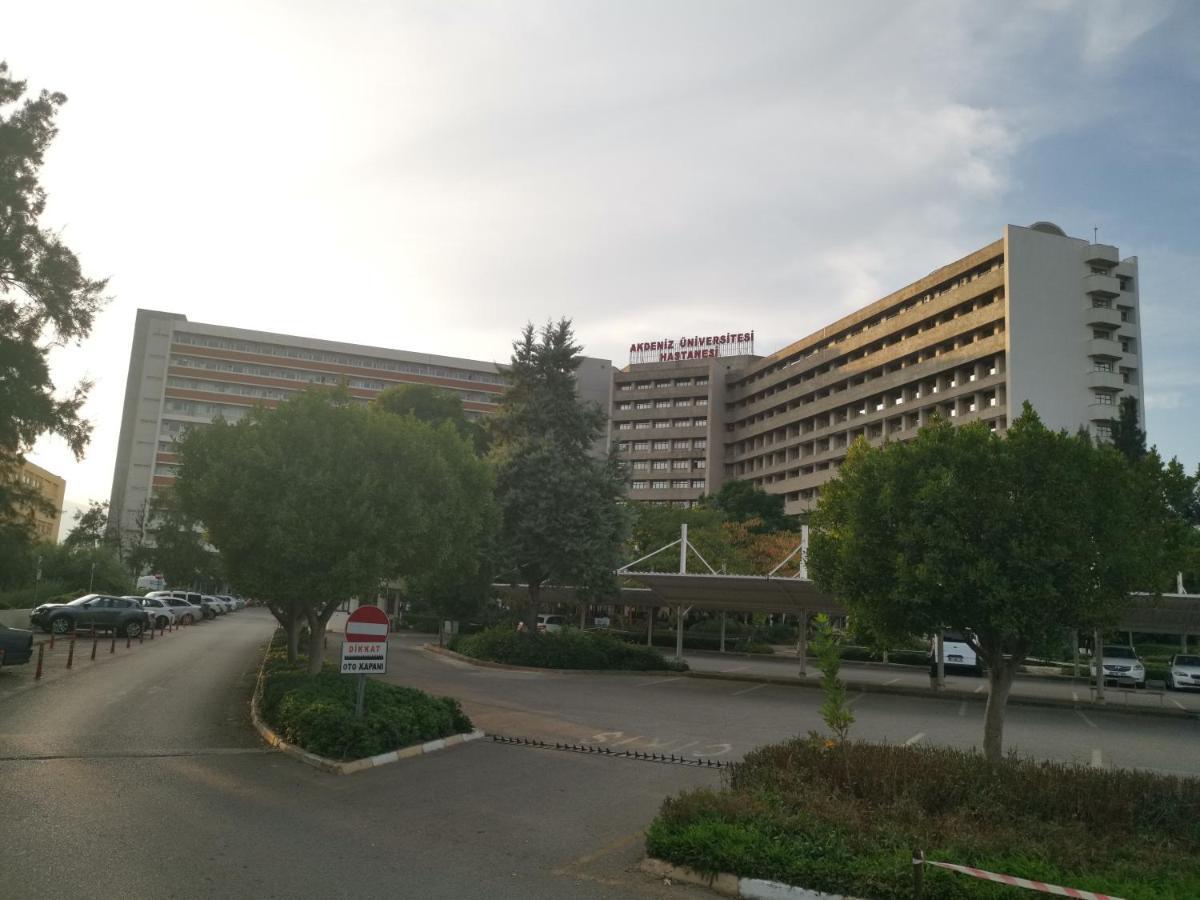 Araucaria Pension 2*
