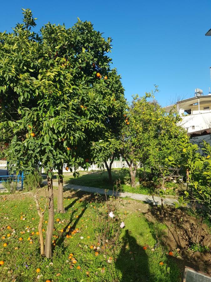 Seafront Belek Villa *