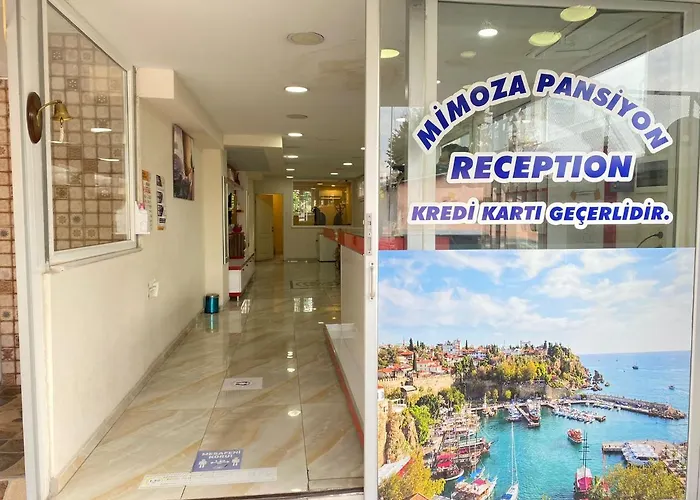 Mimoza Pansiyon