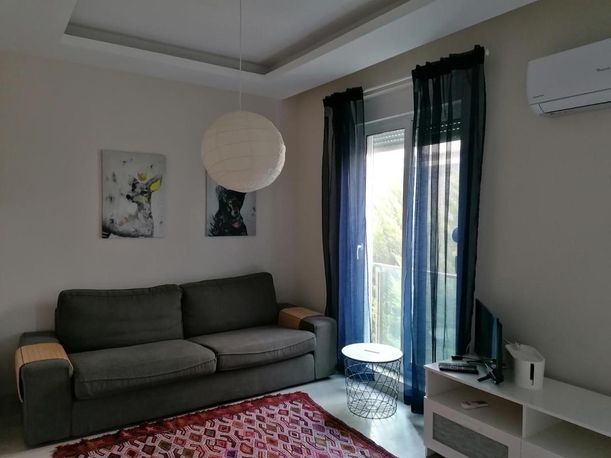 Apartment Green Homes Holiday