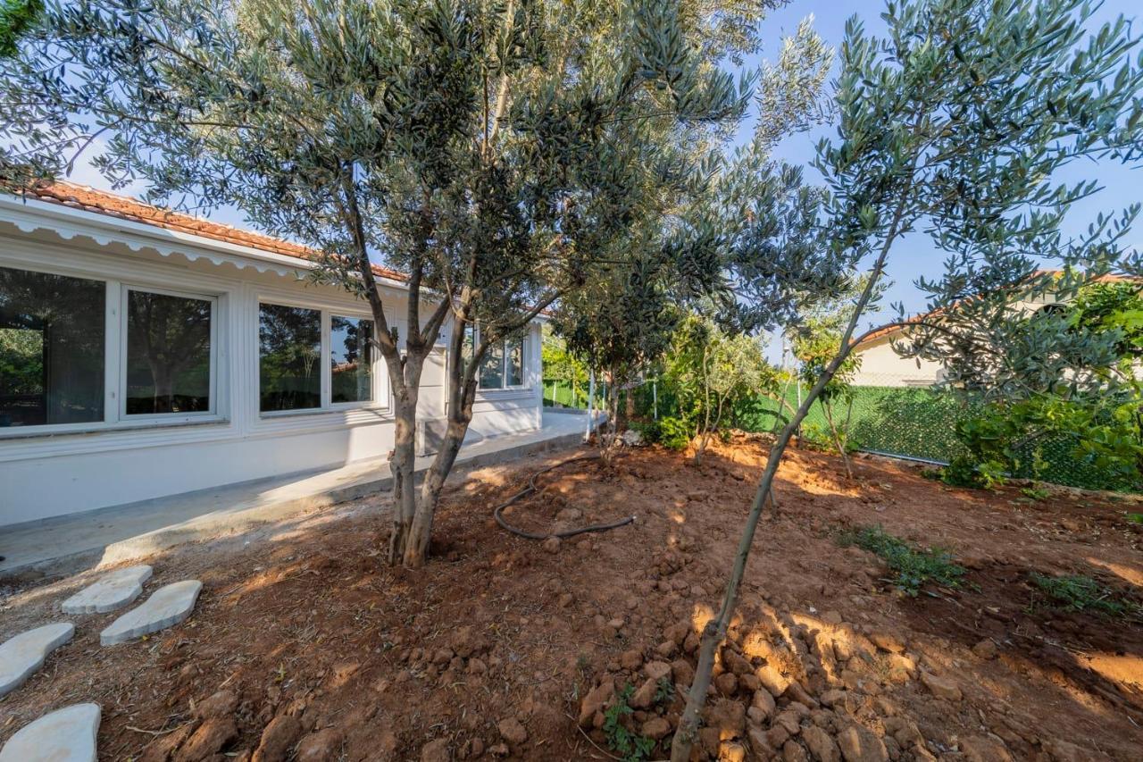 Serene House With Sea View And Garden In Muratpasa Antalya