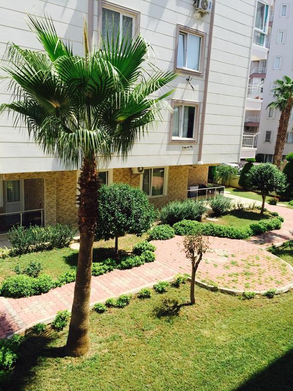 Aslan Apartment *