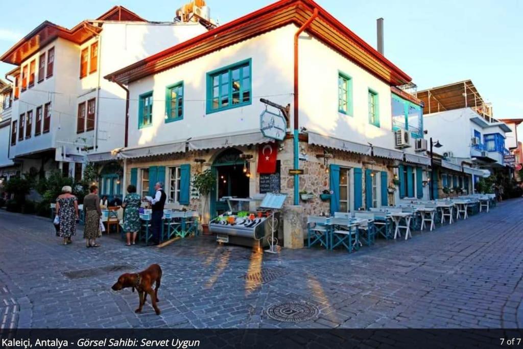 Daire Lara'da Modern Bir Vaha