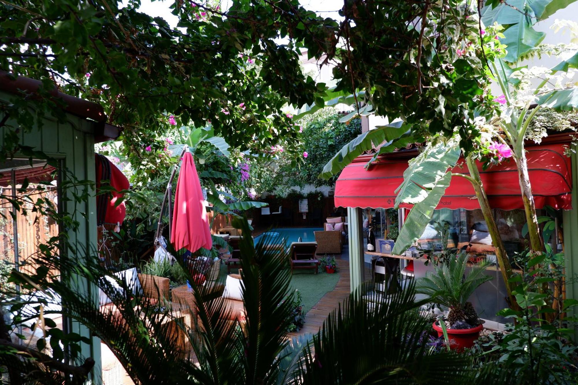 Hotel The 3*