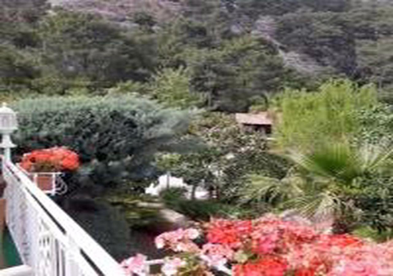 Hotel Miramor & 5*