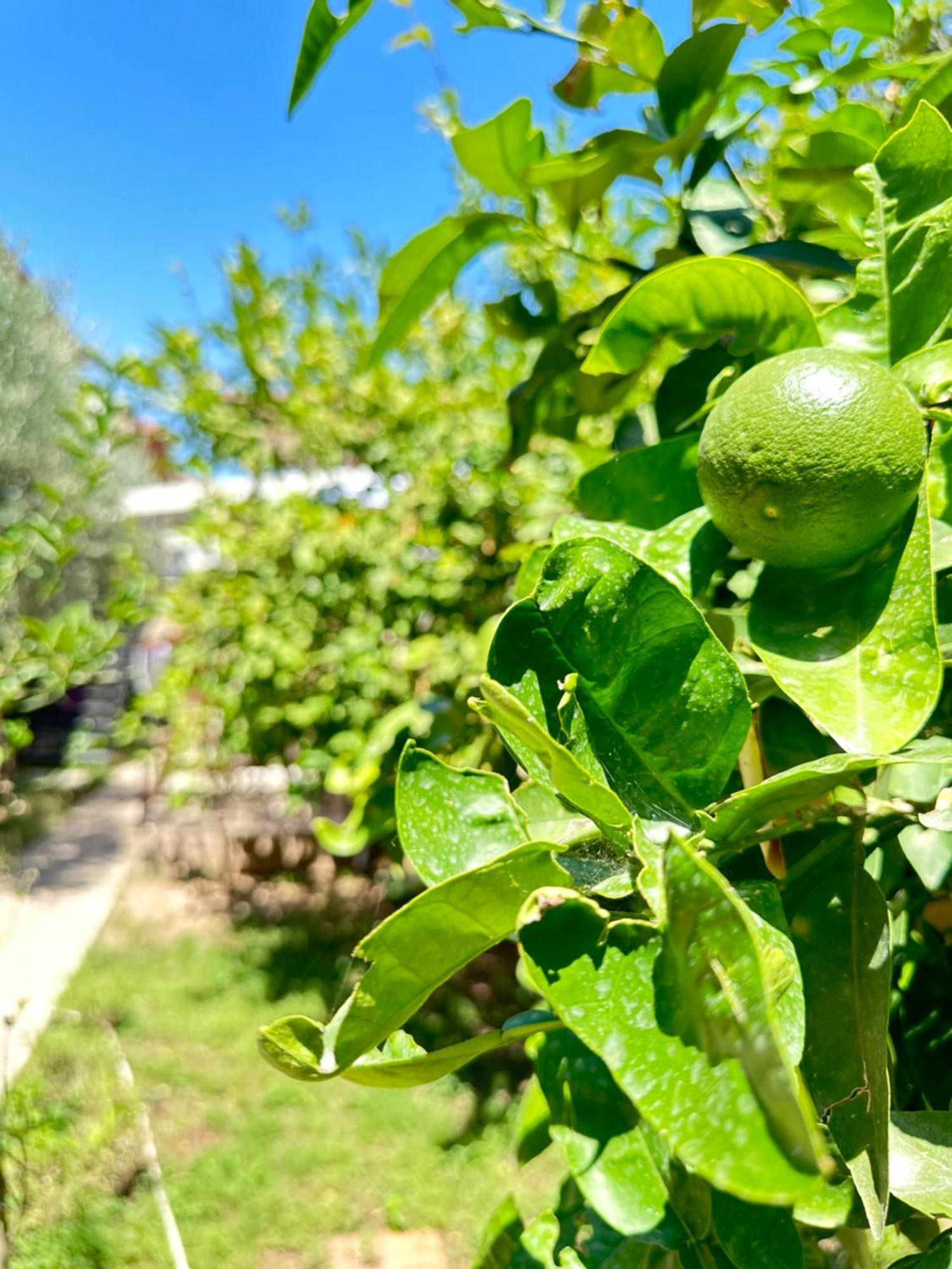 Kaleici Aparts Ferienhaus